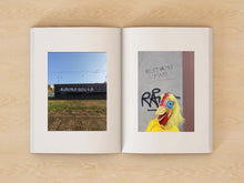 Carica l'immagine nel visualizzatore di Gallery, Torino sui muri